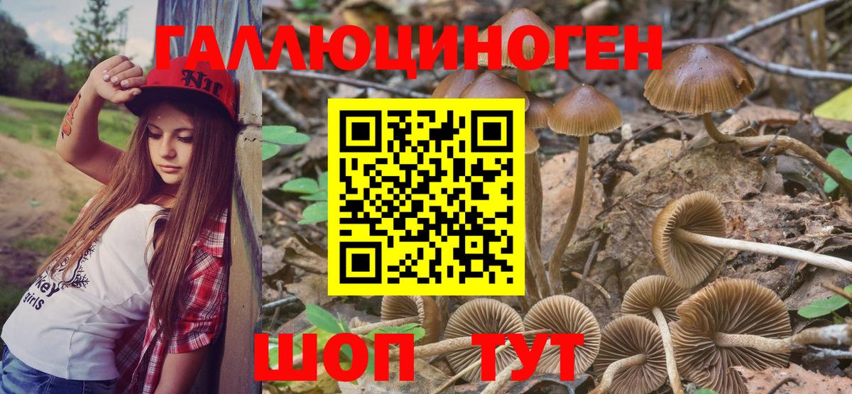 Псилоцибиновые грибы ЛСД  Вход с VPN  Ипатово 